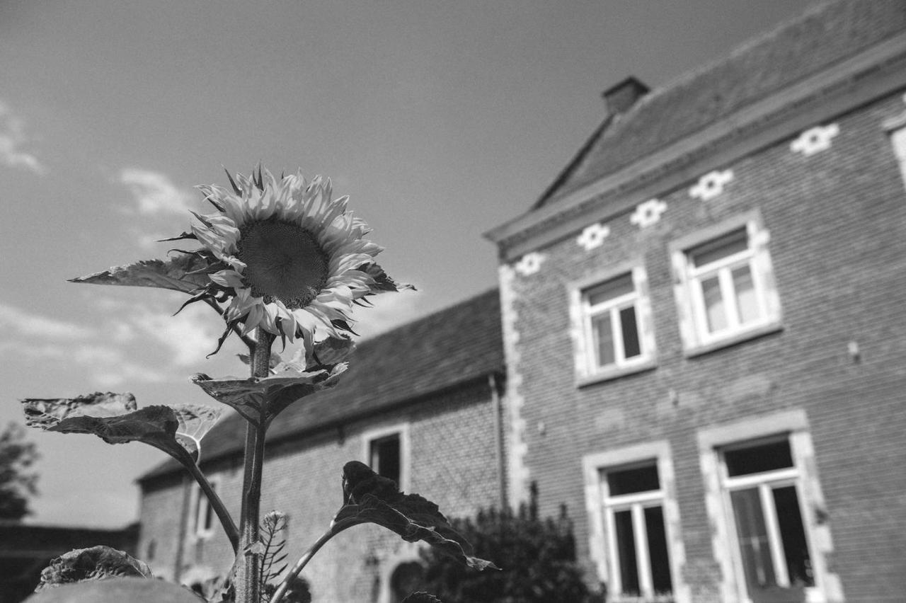 B&B L'Epicurie Hoegaarden Zewnętrze zdjęcie